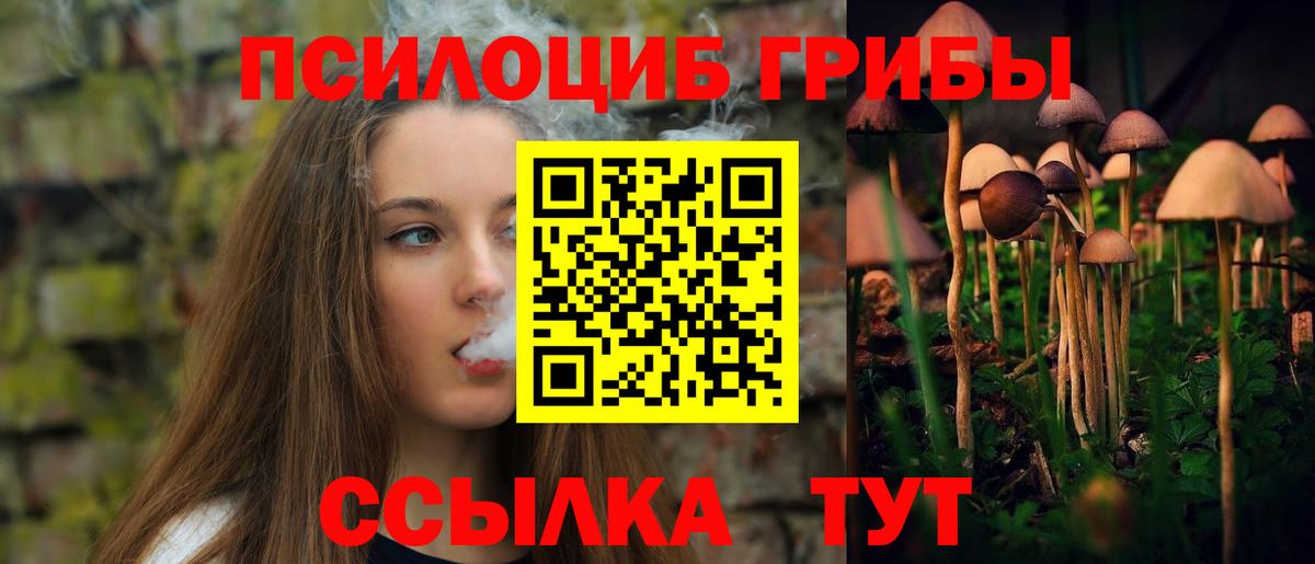 Сафоново  Псилоцибиновые грибы мухоморы  Вход с VPN 